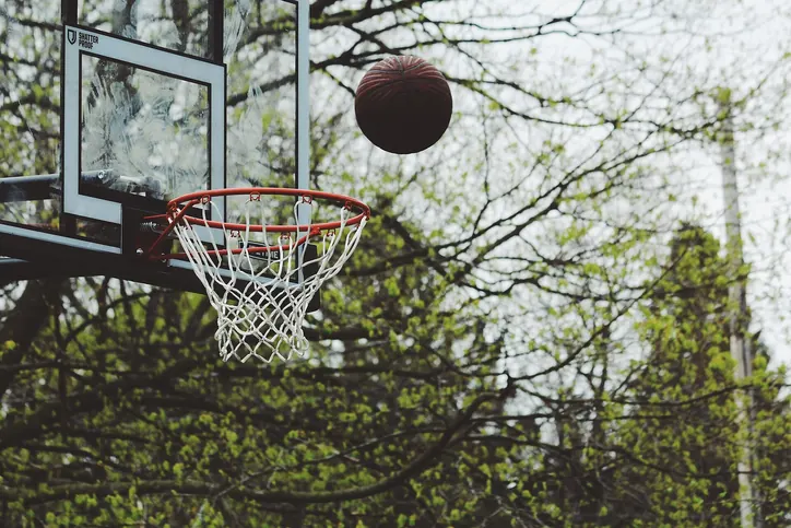 Bola de basquetebol no ar a caminho de um cesto, com ramos de árvores em fundo